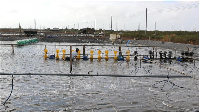 Vietnam desarrolla agricultura verde para responder al cambio climático ảnh 1 Vietnam desarrolla agricultura verde para responder al cambio climático ảnh 1