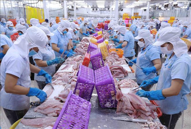 BAD prevé un crecimiento económico de Vietnam del 6% en 2024 ảnh 1 BAD prevé un crecimiento económico de Vietnam del 6% en 2024 ảnh 1