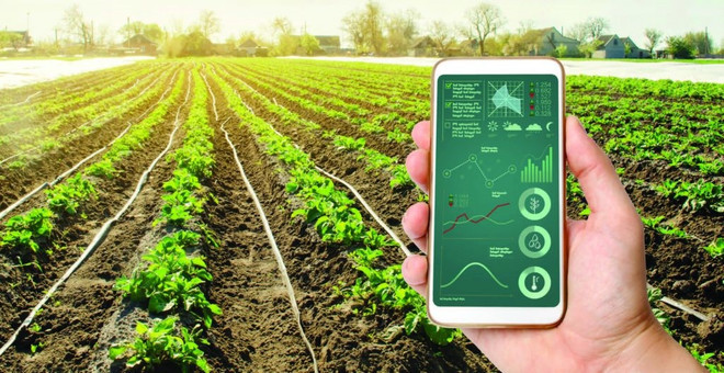 Promueven transformación digital en sector agrícola en Vietnam ảnh 1 Promueven transformación digital en sector agrícola en Vietnam ảnh 1