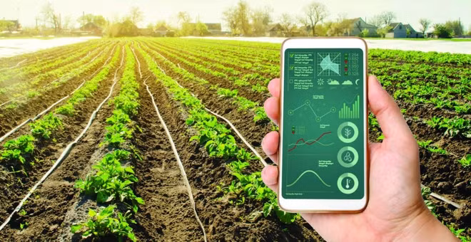 Promueven transformación digital en sector agrícola en Vietnam ảnh 1 Promueven transformación digital en sector agrícola en Vietnam ảnh 1