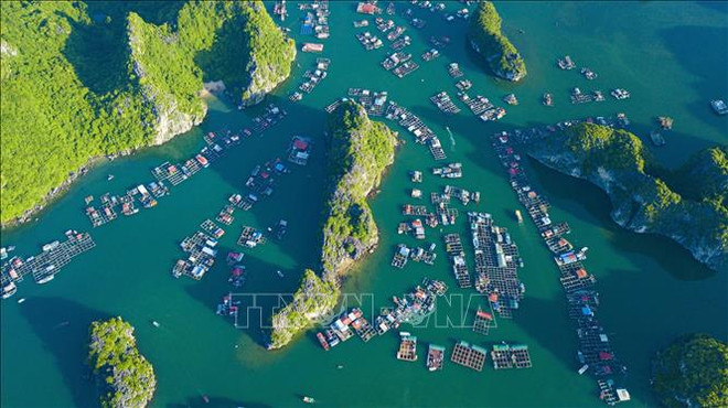 Proponen medidas para desarrollo verde del archipiélago vietnamita de Cat Ba ảnh 2 Proponen medidas para desarrollo verde del archipiélago vietnamita de Cat Ba ảnh 2