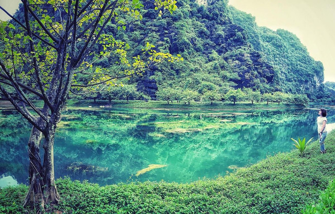 Provincia vietnamita de Ninh Binh por celebrar con éxito el Año de Turismo ảnh 1 Provincia vietnamita de Ninh Binh por celebrar con éxito el Año de Turismo ảnh 1