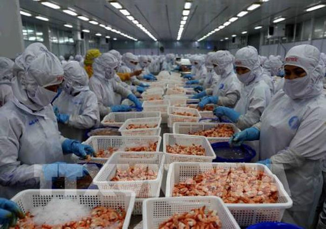 Registra Vietnam altos ingresos por exportaciones acuáticas en ocho meses de 2019 ảnh 1 Registra Vietnam altos ingresos por exportaciones acuáticas en ocho meses de 2019 ảnh 1