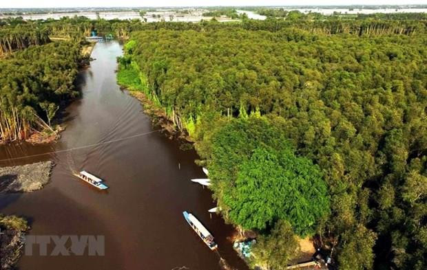 Revelan que el Delta del río Mekong se hunde hasta cinco centímetros cada año ảnh 1