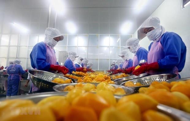 Alcanza Vietnam alto superávit comercial en primeros ocho meses del año ảnh 1 Alcanza Vietnam alto superávit comercial en primeros ocho meses del año ảnh 1