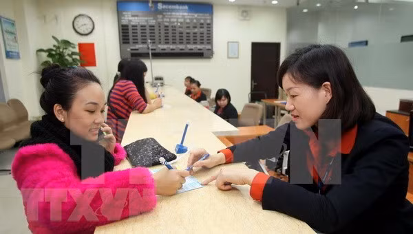 Ganacias de organizaciones crediticias en Vietnam crecen 40 por ciento en 2018 ảnh 1