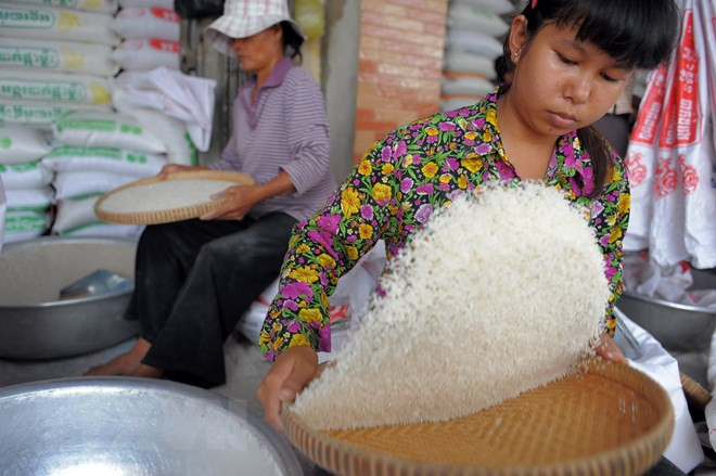 Intercambio comercial de Myanmar alcanza seis mil millones de dólares en dos meses ảnh 1 Intercambio comercial de Myanmar alcanza seis mil millones de dólares en dos meses ảnh 1