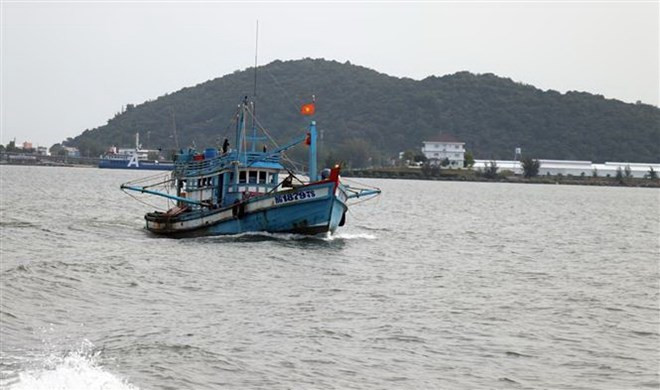 Provincias vietnamitas realizan esfuerzos para luchar contra la pesca ilegal ảnh 1 Provincias vietnamitas realizan esfuerzos para luchar contra la pesca ilegal ảnh 1