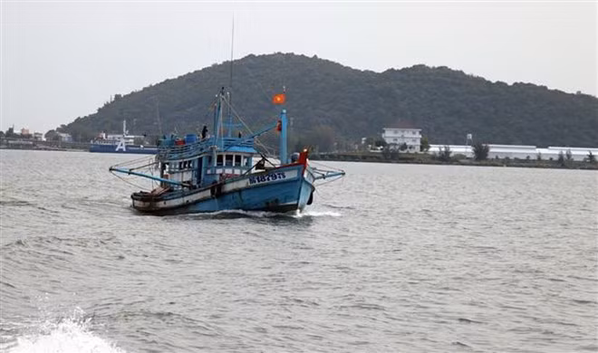 Provincias vietnamitas realizan esfuerzos para luchar contra la pesca ilegal ảnh 1