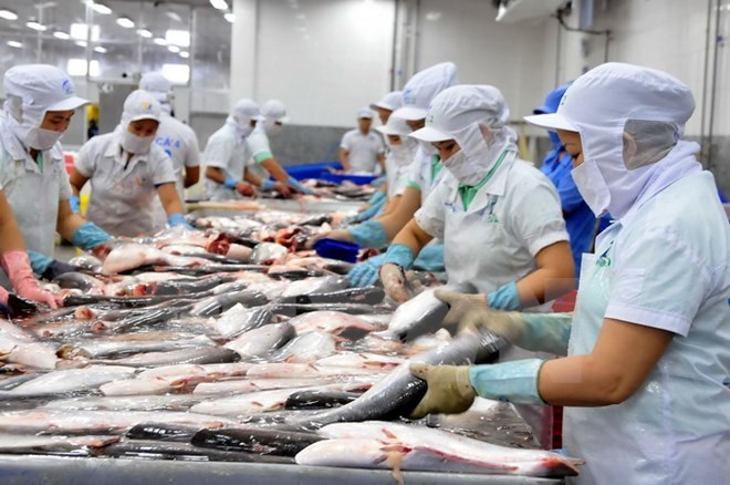 China, mercado prometedor para pescado Tra de Vietnam ảnh 1 China, mercado prometedor para pescado Tra de Vietnam ảnh 1