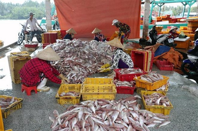 Los 10 hechos que marcaron la economía vietnamita en 2018 ảnh 3 Los 10 hechos que marcaron la economía vietnamita en 2018 ảnh 3