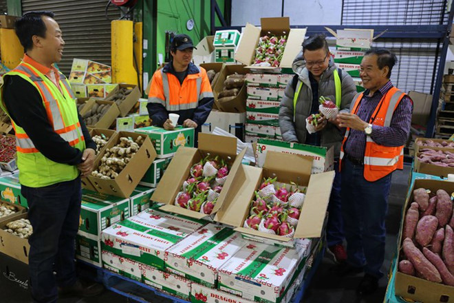 Buscan promover marcas de productos agrícolas vietnamitas en China ảnh 1 Buscan promover marcas de productos agrícolas vietnamitas en China ảnh 1