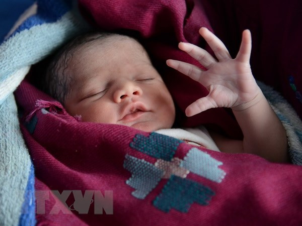 Vietnam se esfuerza por luchar y prevenir el tráfico de bebés ảnh 1 Vietnam se esfuerza por luchar y prevenir el tráfico de bebés ảnh 1