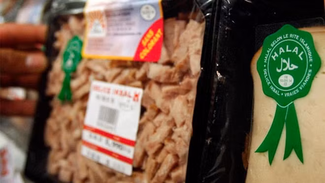 Expertos recomiendan a empresas vietnamitas explotar los productos Halal ảnh 1