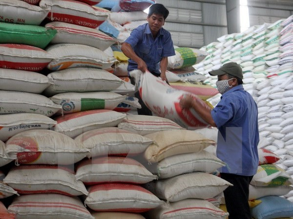 Vietnam distribuye 120 mil toneladas de arroz para respaldar a pobres en ocasión del Tet ảnh 1