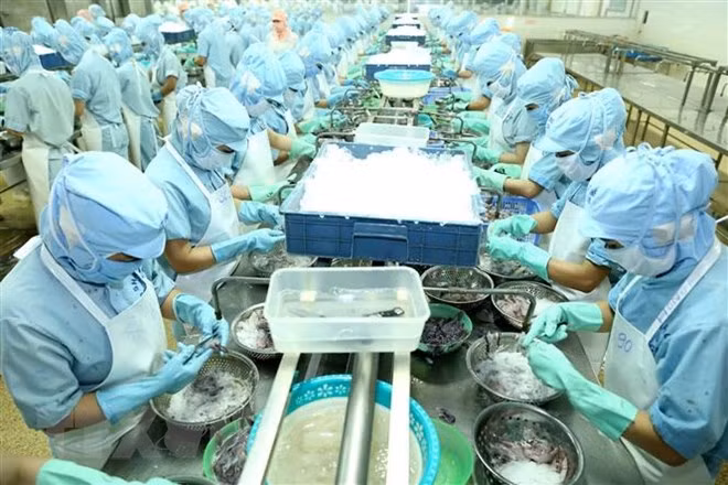 EVFTA - factor impulsor de la cooperación económica Vietnam-Francia ảnh 1 EVFTA - factor impulsor de la cooperación económica Vietnam-Francia ảnh 1