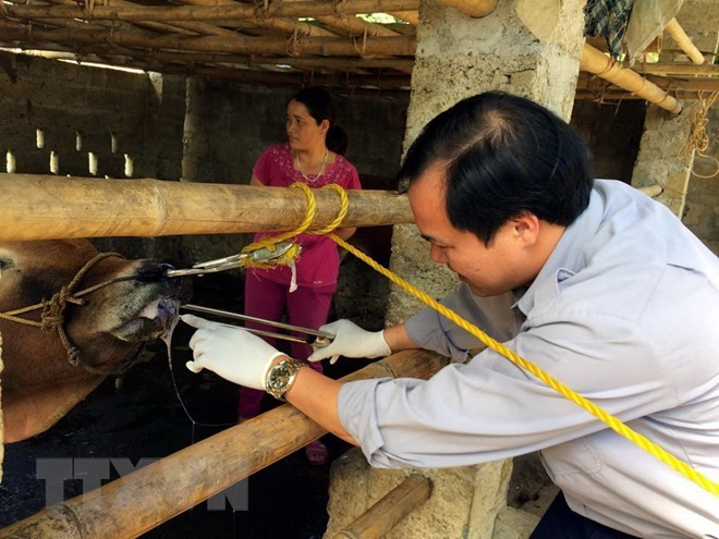 Los 10 hechos que marcaron la economía vietnamita en 2018 ảnh 10 Los 10 hechos que marcaron la economía vietnamita en 2018 ảnh 10