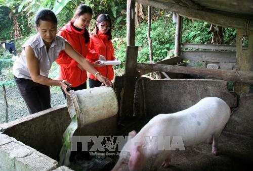 Hanoi cumple meta de reducción de la pobreza con antelación ảnh 1 Hanoi cumple meta de reducción de la pobreza con antelación ảnh 1