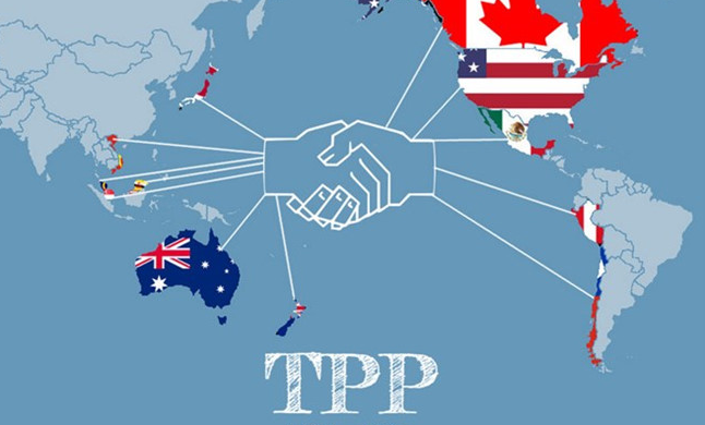 Gobierno vietnamita presentará TPP a la Asamblea Nacional ảnh 1 Gobierno vietnamita presentará TPP a la Asamblea Nacional ảnh 1