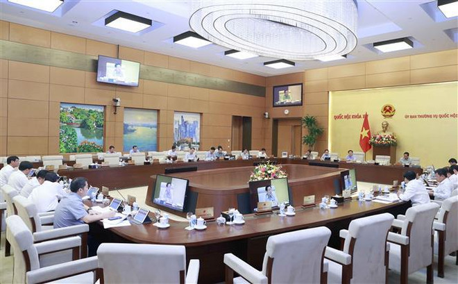 Comité Permanente del Parlamento vietnamita opina sobre proyectos de resolución ảnh 2 Comité Permanente del Parlamento vietnamita opina sobre proyectos de resolución ảnh 2