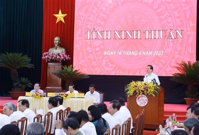 Presidente de Vietnam realiza visita de trabajo a Ninh Thuan ảnh 1