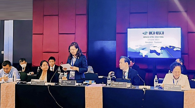 Mercado bursátil de Vietnam, destino confiable para inversores ảnh 2 Mercado bursátil de Vietnam, destino confiable para inversores ảnh 2