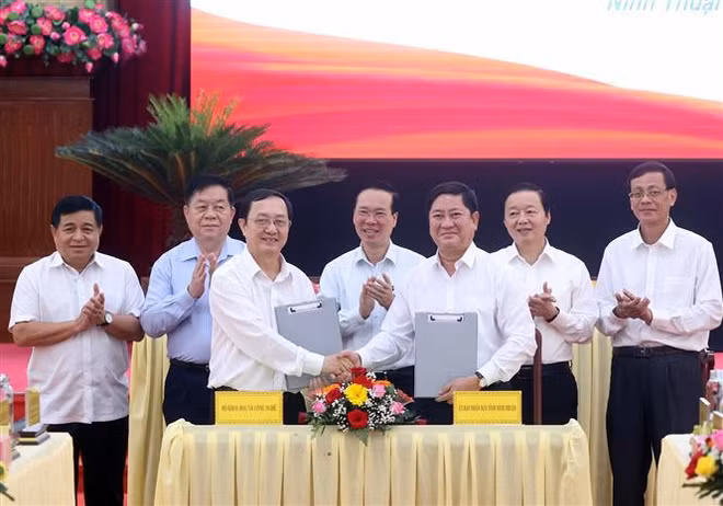 Presidente de Vietnam realiza visita de trabajo a Ninh Thuan ảnh 3