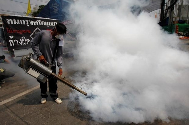 Tailandia reporta alto récord en casos de dengue ảnh 1 Tailandia reporta alto récord en casos de dengue ảnh 1