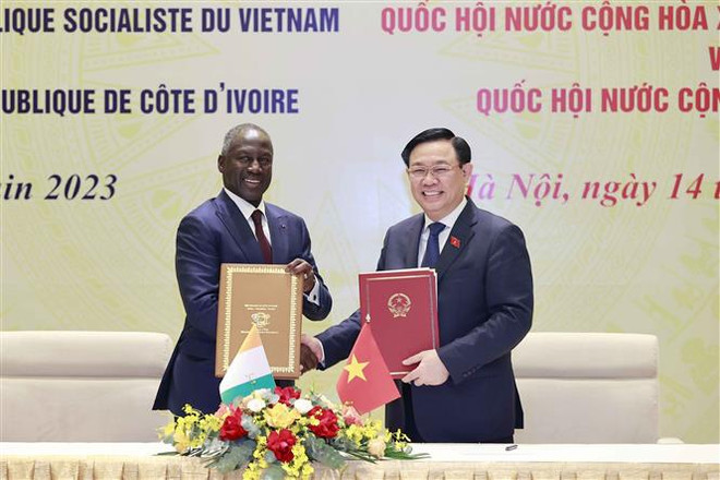 Vietnam y Costa de Marfil fortalecen cooperación parlamentaria ảnh 2 Vietnam y Costa de Marfil fortalecen cooperación parlamentaria ảnh 2
