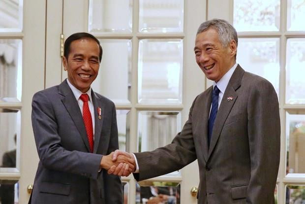 Alcanzan Singapur e Indonesia acuerdo sobre temas aéreos y militares ảnh 1 Alcanzan Singapur e Indonesia acuerdo sobre temas aéreos y militares ảnh 1