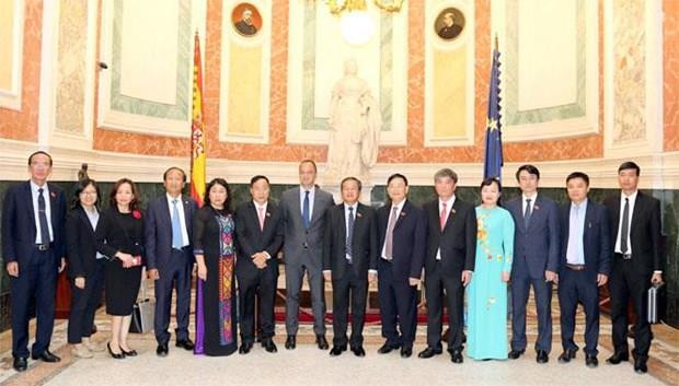 Proyectan Vietnam y España promover cooperación en energía y turismo ảnh 1