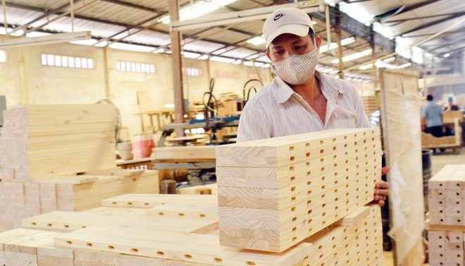 Ingresa Vietnam casi ocho mil millones de dólares por exportaciones silvícolas en nueve meses ảnh 1 Ingresa Vietnam casi ocho mil millones de dólares por exportaciones silvícolas en nueve meses ảnh 1