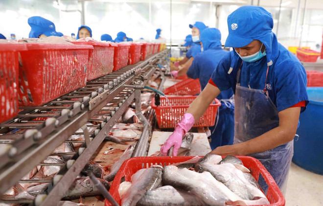 Nace Festival del Pescado Tra de Vietnam ảnh 1