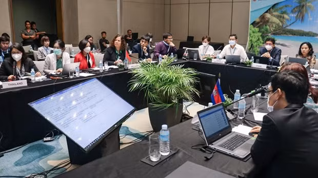Comercio digital dinamiza la ASEAN ảnh 2