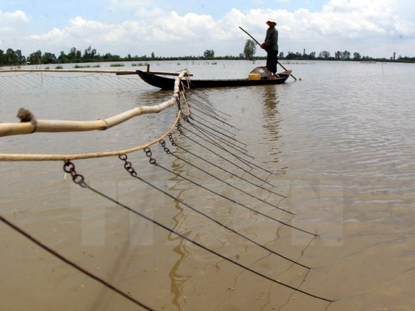 Provincias deltaicas de Vietnam plantean medidas contra el cambio climático ảnh 1