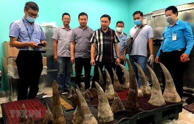 Incautan 90 kilogramos de cuernos de rinocerontes en aeropuerto vietnamita ảnh 1 Incautan 90 kilogramos de cuernos de rinocerontes en aeropuerto vietnamita ảnh 1
