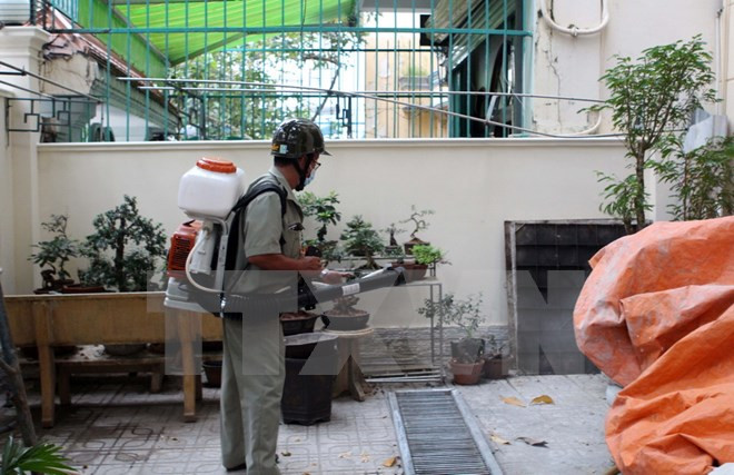 Detectan segundo caso del Zika en provincia sureña de Vietnam ảnh 1 Detectan segundo caso del Zika en provincia sureña de Vietnam ảnh 1