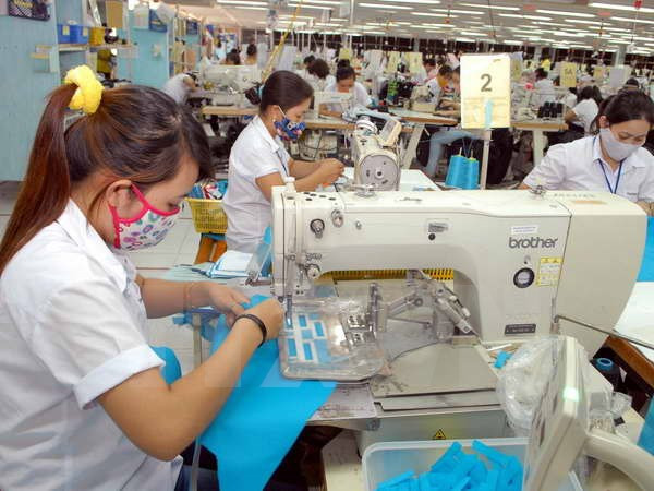 Productos de Vietnam se benefician de TLC con Unión Económica Euroasiática ảnh 1 Productos de Vietnam se benefician de TLC con Unión Económica Euroasiática ảnh 1
