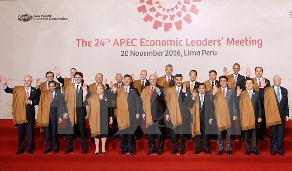 Alta expectativa en Vietnam como sede de APEC 2017 ảnh 1 Alta expectativa en Vietnam como sede de APEC 2017 ảnh 1