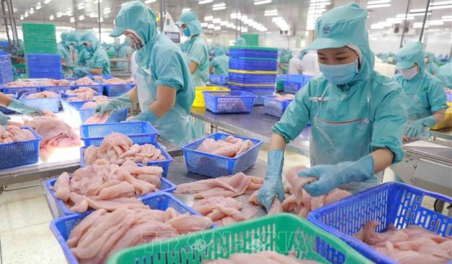 Promueve Vietnam exportación de productos acuáticos a mercados de RCEP ảnh 1