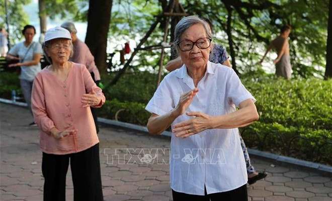 Trabajan por mejorar calidad de vida de ancianos en Vietnam ảnh 1 Trabajan por mejorar calidad de vida de ancianos en Vietnam ảnh 1