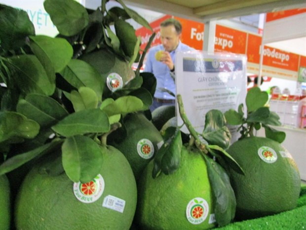 Vietnam posee potenciales para exportación de sus frutas a Estados Unidos ảnh 1 Vietnam posee potenciales para exportación de sus frutas a Estados Unidos ảnh 1
