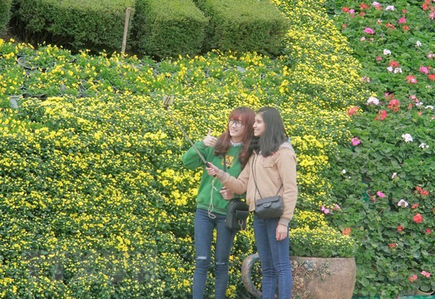 Festival de flores Da Lat 2022 tendrá lugar en noviembre ảnh 1