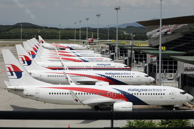 Malaysia Airlines lanza pase de viaje por ASEAN ảnh 1