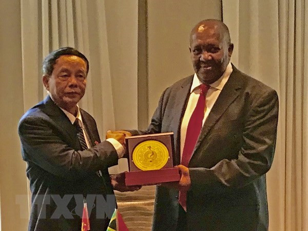 Vietnam y Sudáfrica fomentan nexos de cooperación en defensa y seguridad ảnh 1
