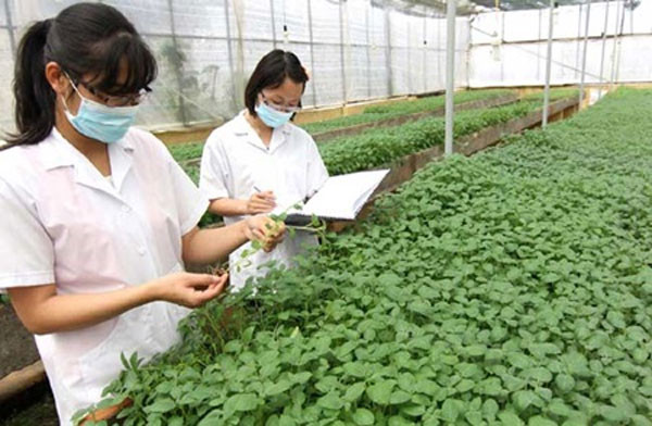 Prefectura japonesa aspira a cooperar con ciudad vietnamita en sector agrícola ảnh 1 Prefectura japonesa aspira a cooperar con ciudad vietnamita en sector agrícola ảnh 1