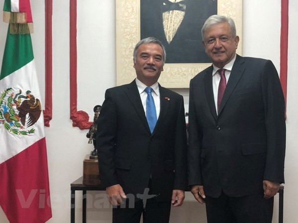 Presidente electo de México confirma deseo de intensificar relaciones con Vietnam ảnh 1 Presidente electo de México confirma deseo de intensificar relaciones con Vietnam ảnh 1