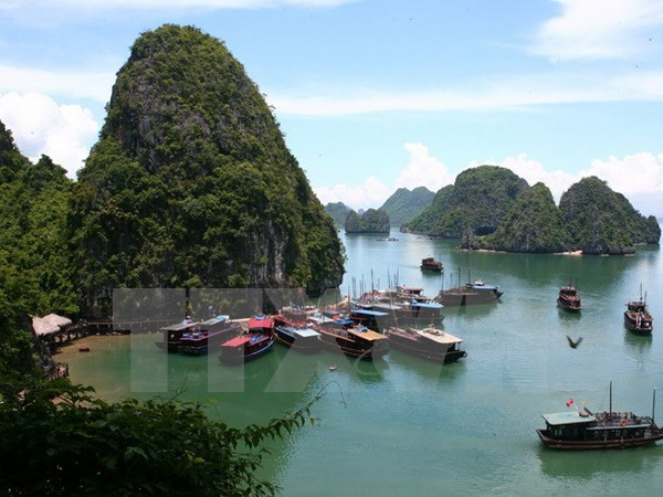 Bahía Ha Long y Pho entre las experiencias imperdibles en Asia ảnh 1 Bahía Ha Long y Pho entre las experiencias imperdibles en Asia ảnh 1