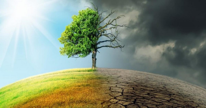 Reitera UNDP apoyo a Vietnam para fomentar resiliencia frente al cambio climático ảnh 3 Reitera UNDP apoyo a Vietnam para fomentar resiliencia frente al cambio climático ảnh 3