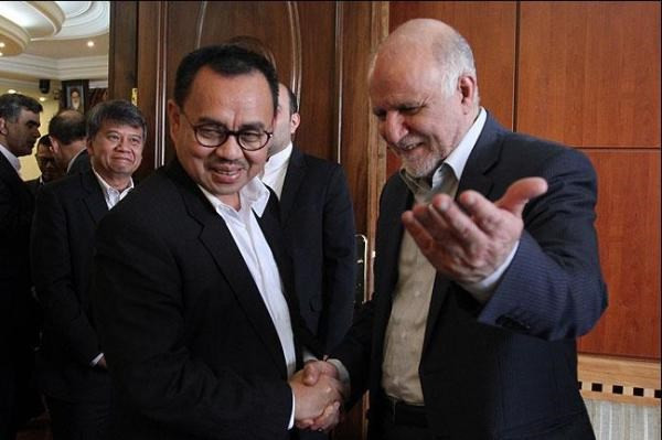 Impulsan Indonesia e Irán cooperación energética ảnh 1 Impulsan Indonesia e Irán cooperación energética ảnh 1
